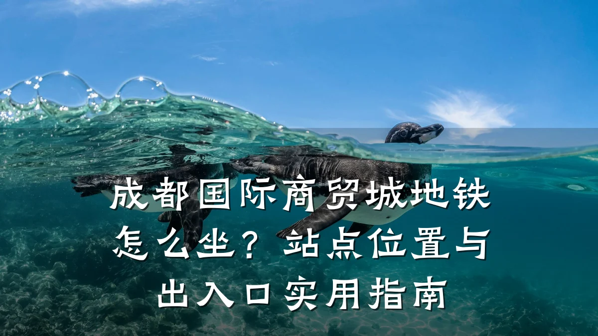 成都国际商贸城地铁怎么坐？站点位置与出入口实用指南