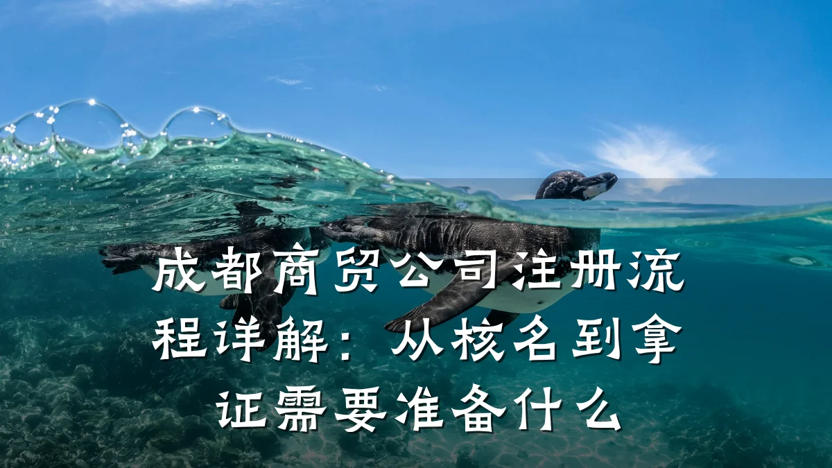 成都商贸公司注册流程详解：从核名到拿证需要准备什么