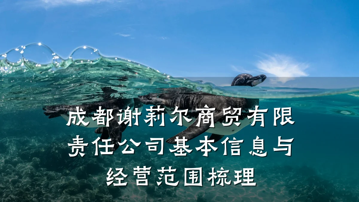 成都谢莉尔商贸有限责任公司基本信息与经营范围梳理