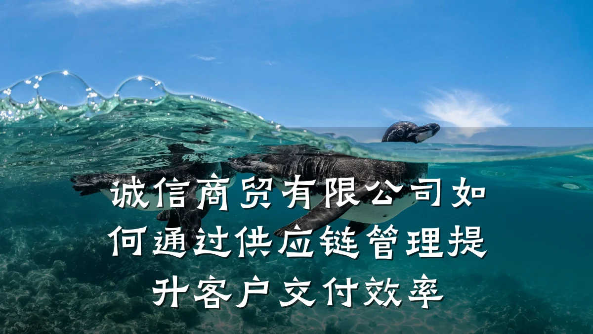 诚信商贸有限公司如何通过供应链管理提升客户交付效率