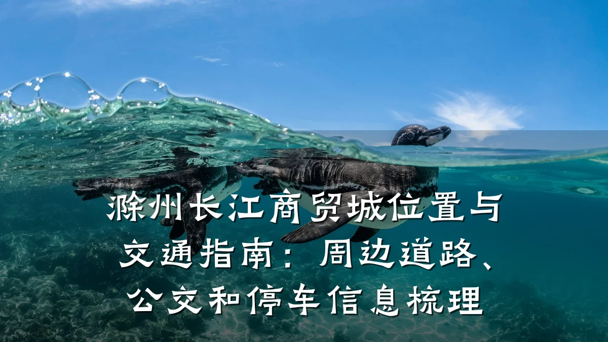 滁州长江商贸城位置与交通指南:周边道路、公交和停车信息梳理