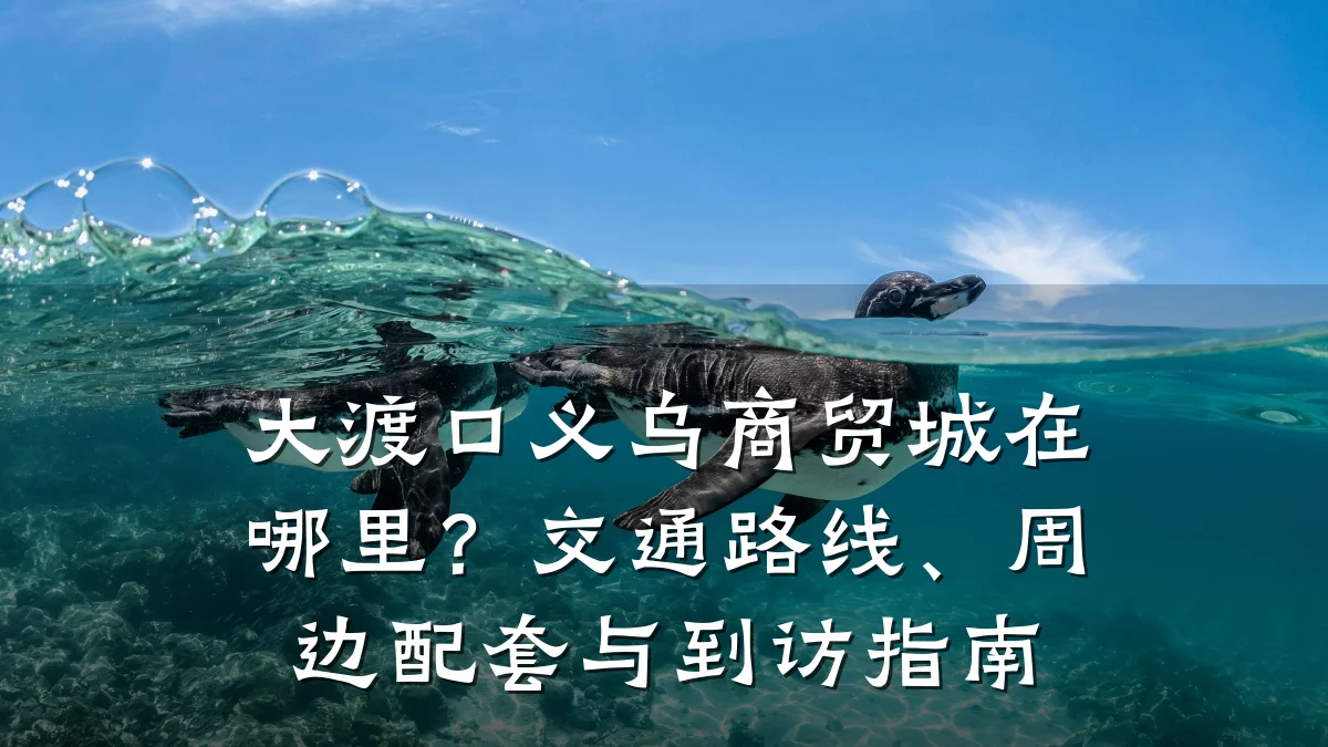 大渡口义乌商贸城在哪里?交通路线、周边配套与到访指南