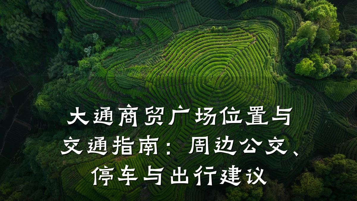 大通商贸广场位置与交通指南:周边公交、停车与出行建议