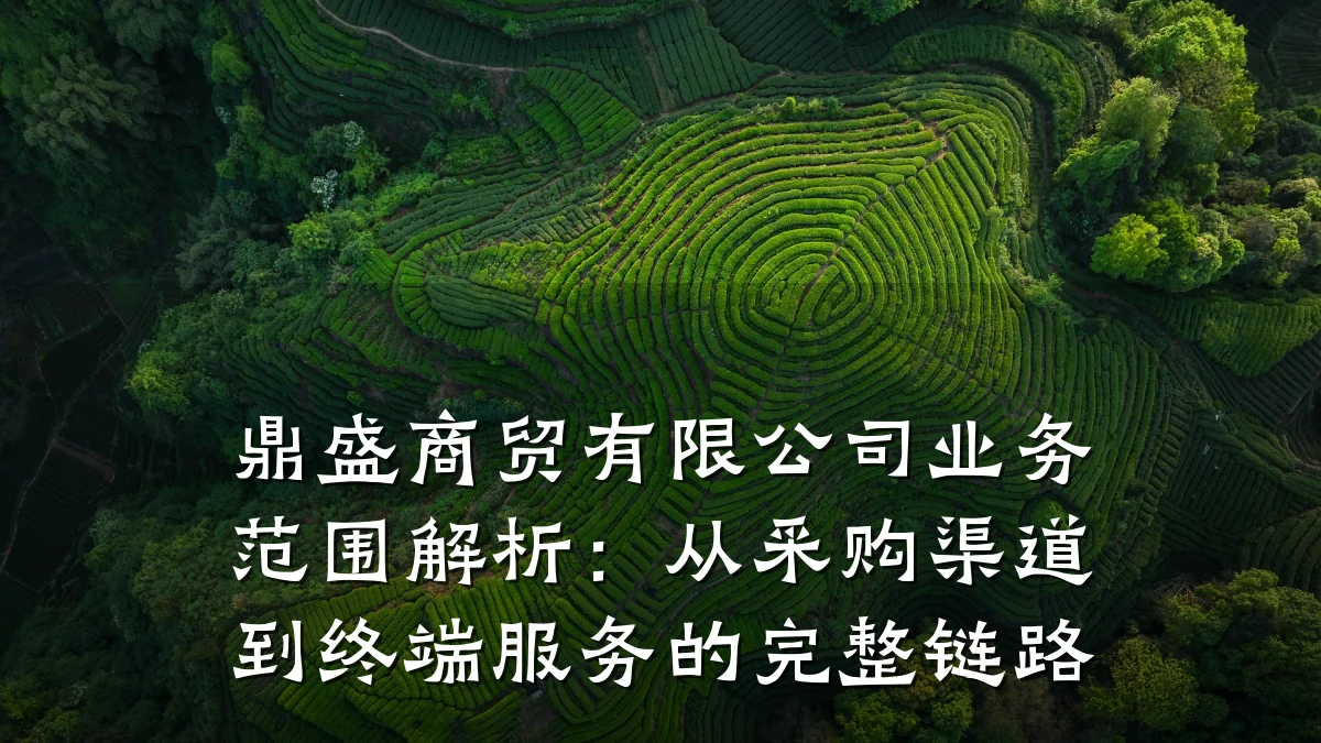 鼎盛商贸有限公司业务范围解析:从采购渠道到终端服务的完整链路