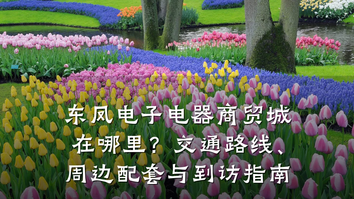 东凤电子电器商贸城在哪里？交通路线、周边配套与到访指南