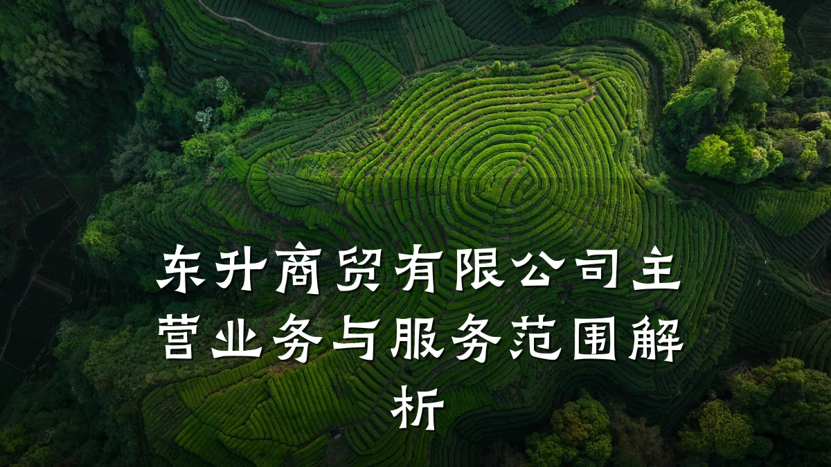 东升商贸有限公司主营业务与服务范围解析
