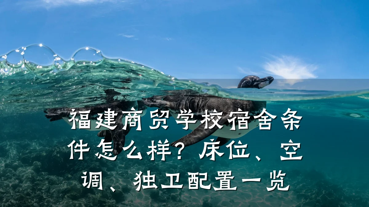 福建商贸学校宿舍条件怎么样?床位、空调、独卫配置一览