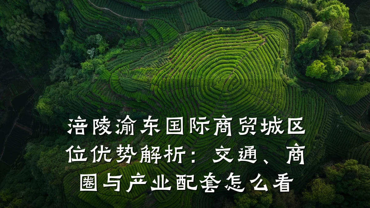 涪陵渝东国际商贸城区位优势解析:交通、商圈与产业配套怎么看