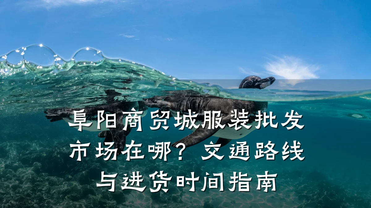 阜阳商贸城服装批发市场在哪?交通路线与进货时间指南