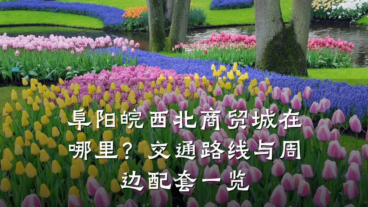 阜阳皖西北商贸城在哪里?交通路线与周边配套一览