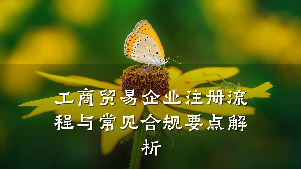 工商贸易企业注册流程与常见合规要点解析