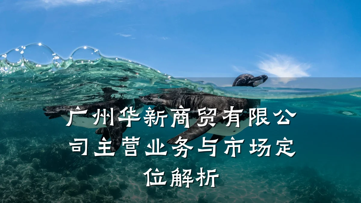 广州华新商贸有限公司主营业务与市场定位解析
