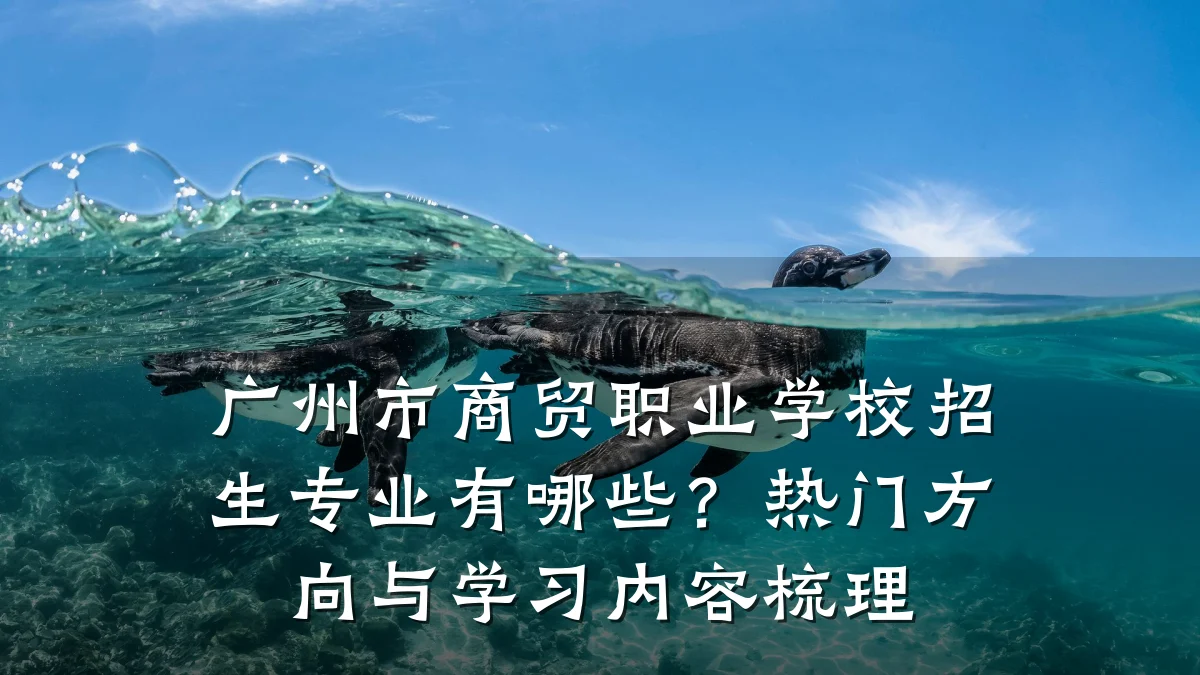 广州市商贸职业学校招生专业有哪些?热门方向与学习内容梳理