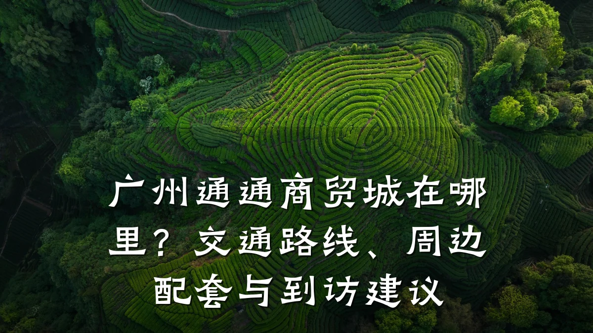 广州通通商贸城在哪里?交通路线、周边配套与到访建议
