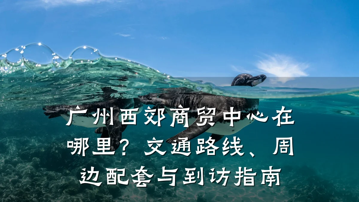 广州西郊商贸中心在哪里?交通路线、周边配套与到访指南