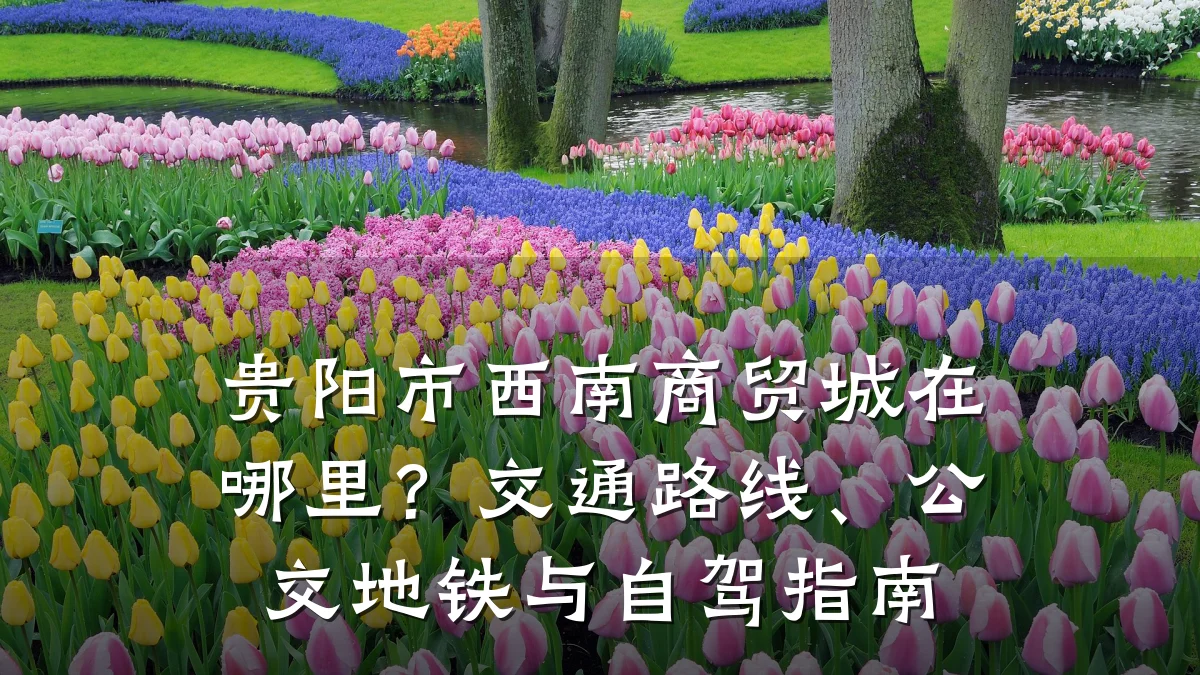贵阳市西南商贸城在哪里?交通路线、公交地铁与自驾指南
