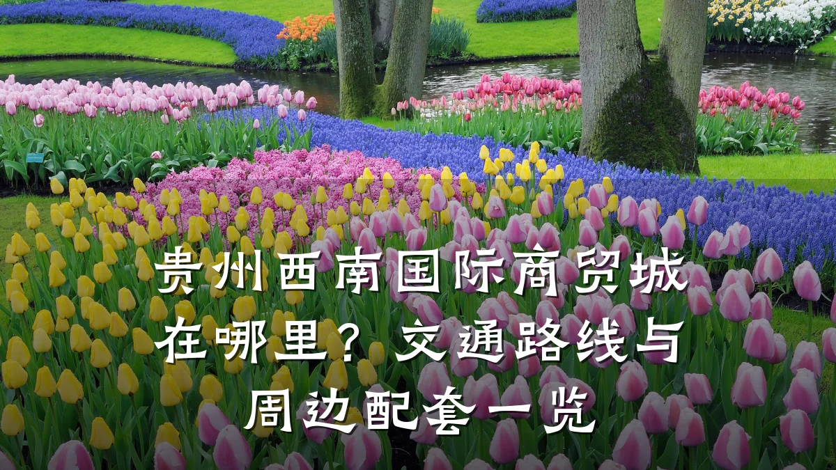 贵州西南国际商贸城在哪里？交通路线与周边配套一览