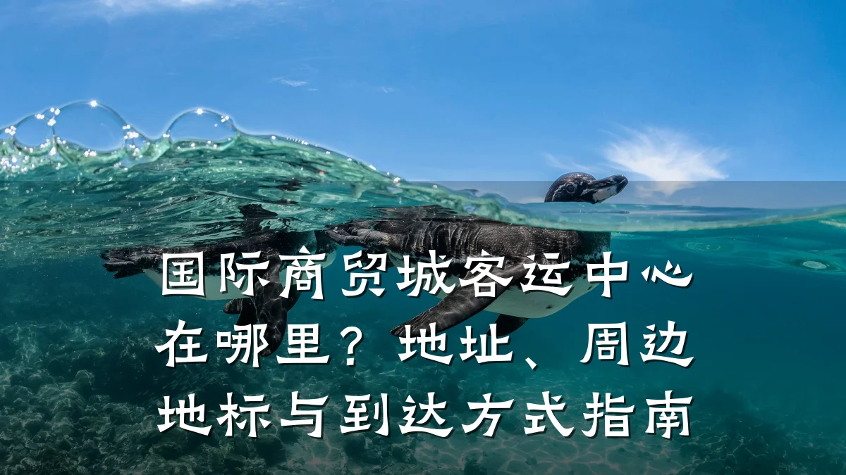 国际商贸城客运中心在哪里？地址、周边地标与到达方式指南