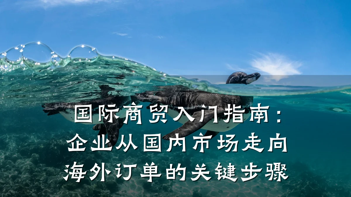 国际商贸入门指南:企业从国内市场走向海外订单的关键步骤