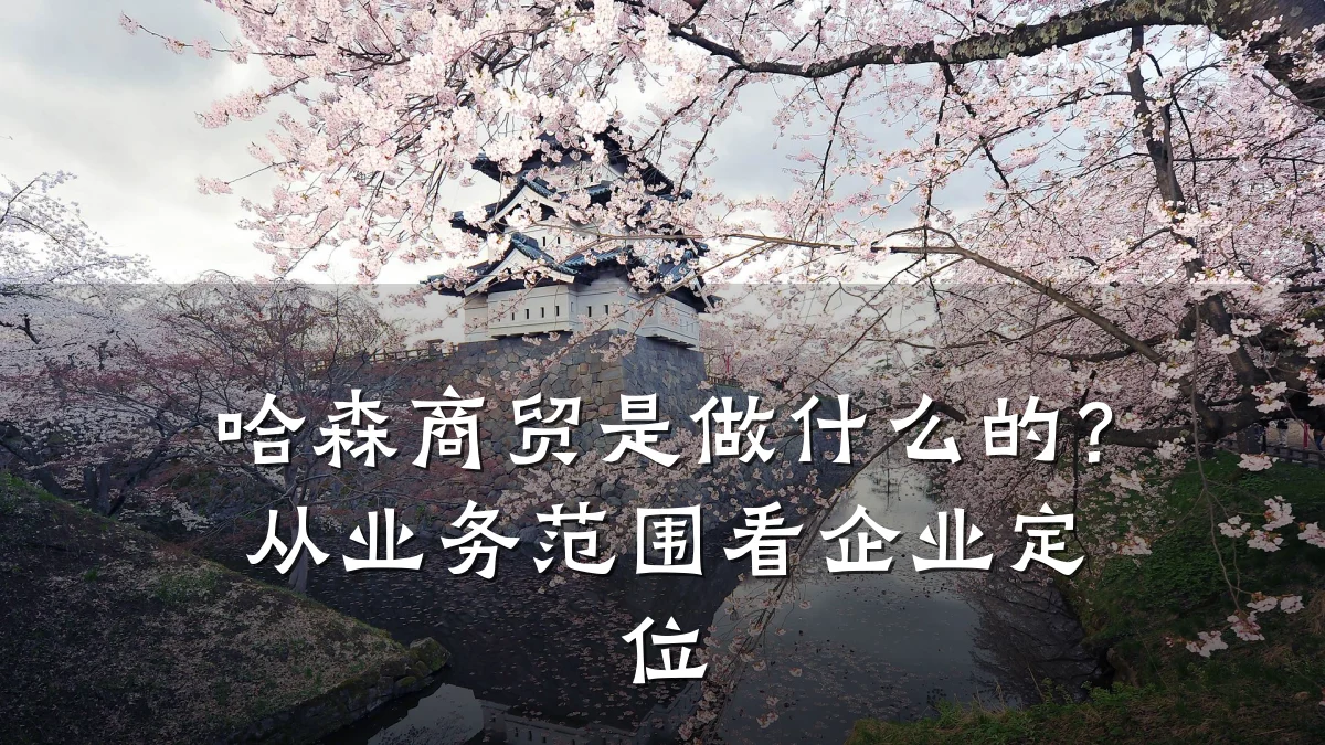 哈森商贸是做什么的?从业务范围看企业定位
