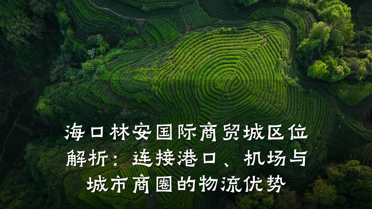 海口林安国际商贸城区位解析：连接港口、机场与城市商圈的物流优势
