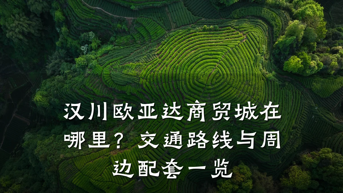 汉川欧亚达商贸城在哪里?交通路线与周边配套一览