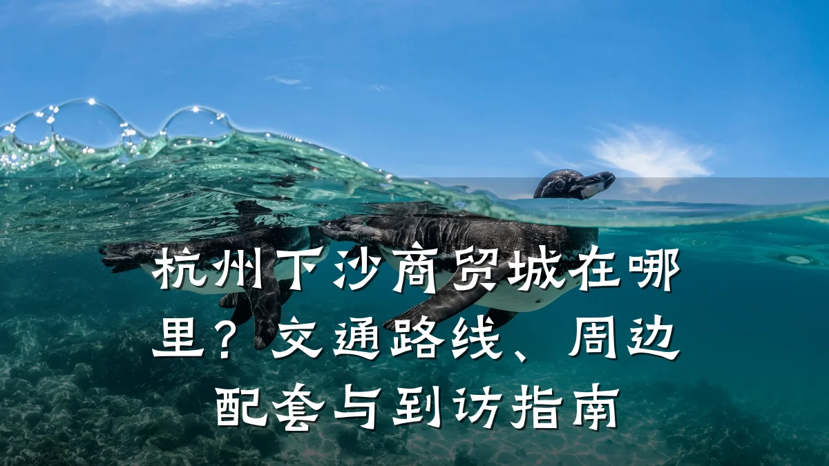 杭州下沙商贸城在哪里?交通路线、周边配套与到访指南
