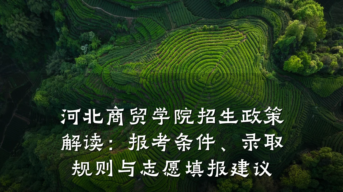 河北商贸学院招生政策解读：报考条件、录取规则与志愿填报建议
