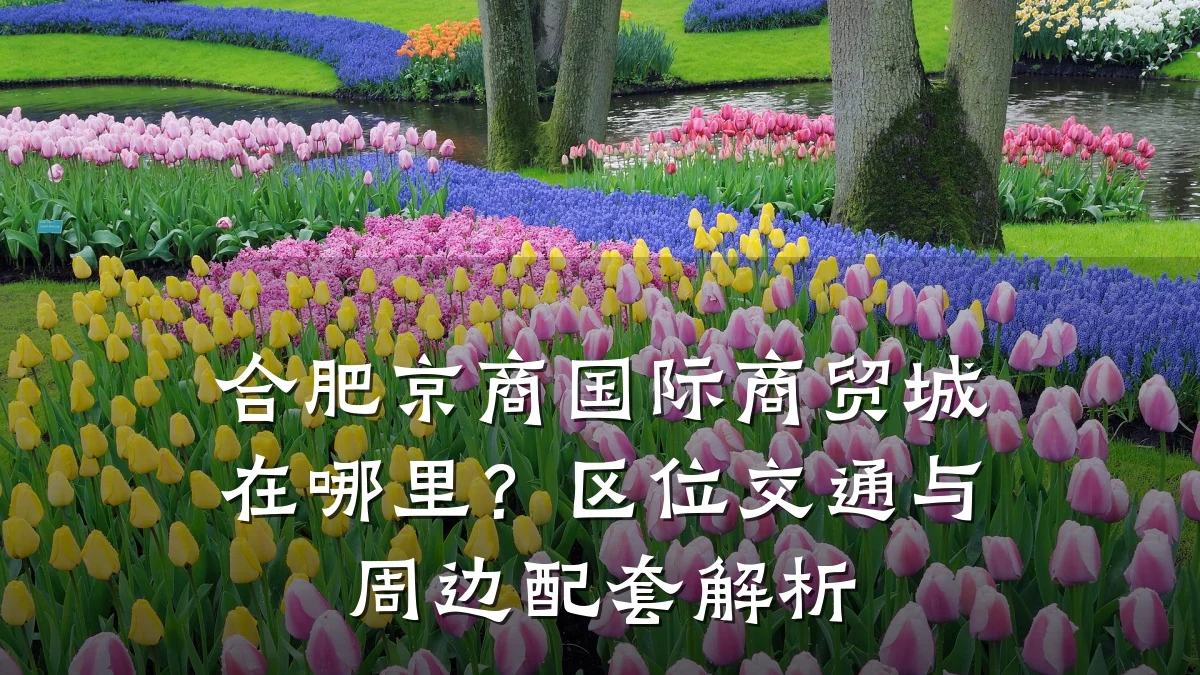 合肥京商国际商贸城在哪里？区位交通与周边配套解析