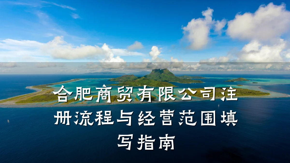 合肥商贸有限公司注册流程与经营范围填写指南