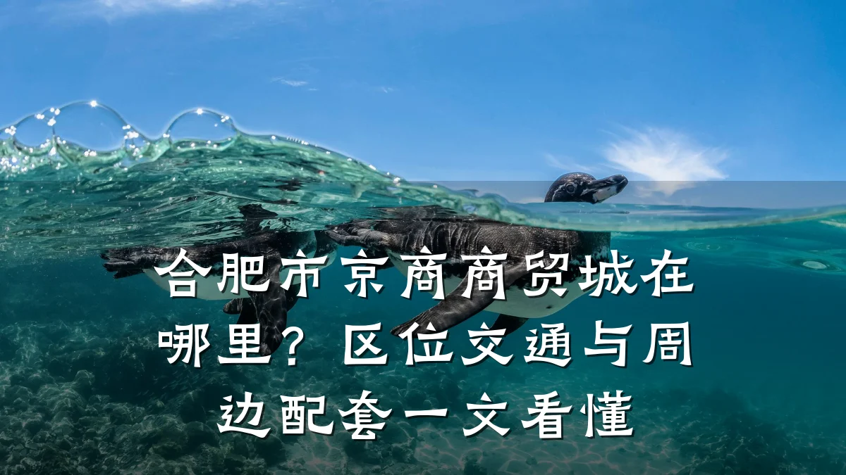 合肥市京商商贸城在哪里?区位交通与周边配套一文看懂