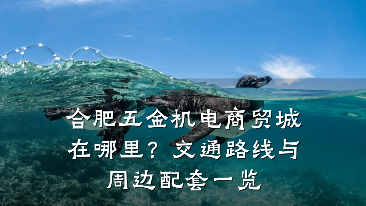 合肥五金机电商贸城在哪里?交通路线与周边配套一览