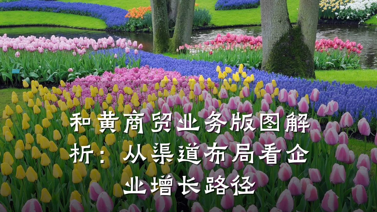 和黄商贸业务版图解析:从渠道布局看企业增长路径