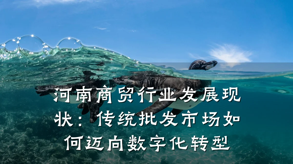 河南商贸行业发展现状:传统批发市场如何迈向数字化转型