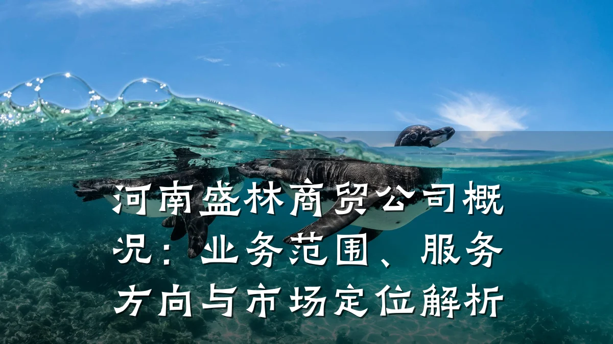 河南盛林商贸公司概况:业务范围、服务方向与市场定位解析