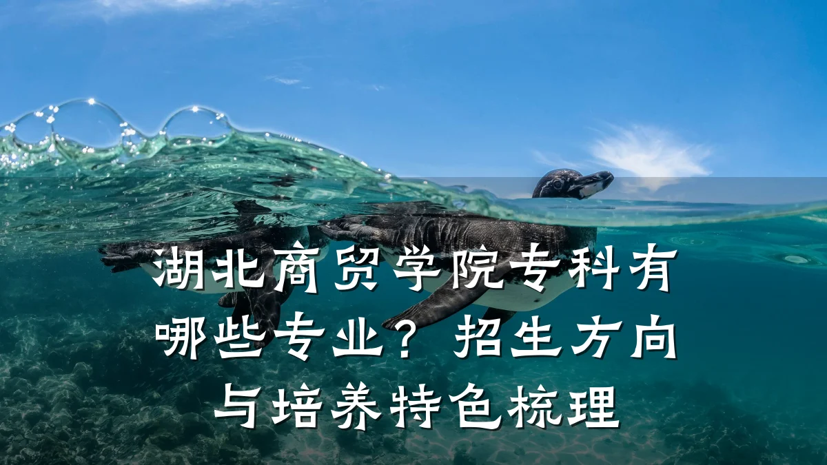 湖北商贸学院专科有哪些专业?招生方向与培养特色梳理