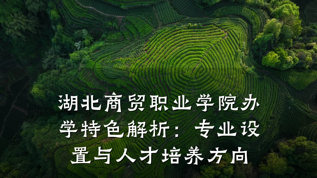 湖北商贸职业学院办学特色解析:专业设置与人才培养方向