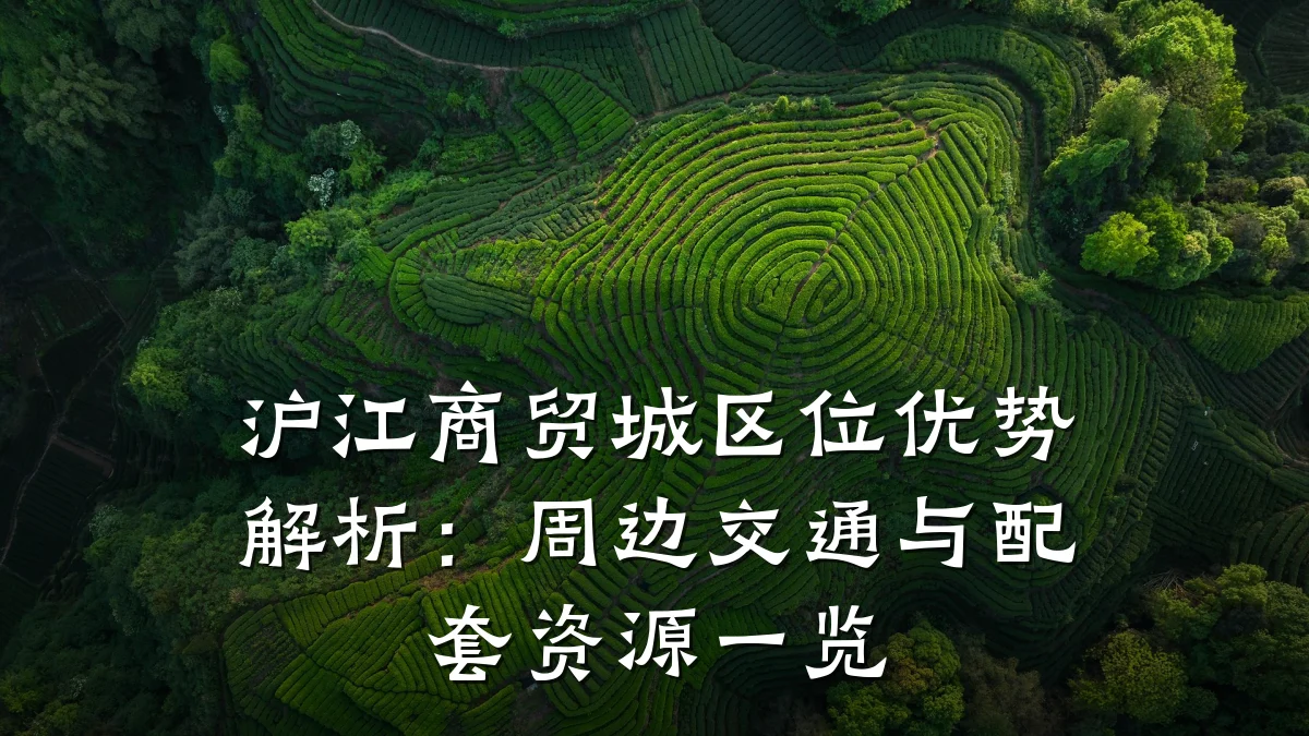 沪江商贸城区位优势解析：周边交通与配套资源一览