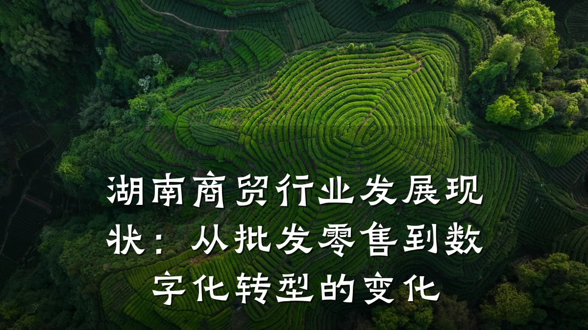 湖南商贸行业发展现状：从批发零售到数字化转型的变化