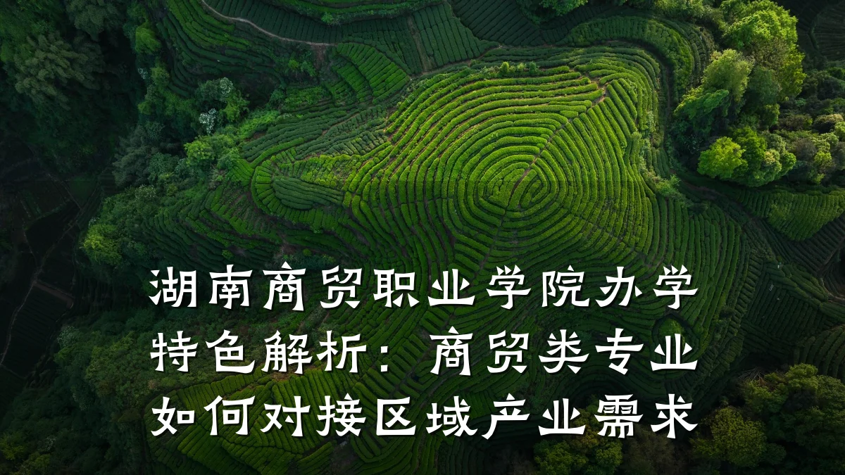 湖南商贸职业学院办学特色解析:商贸类专业如何对接区域产业需求