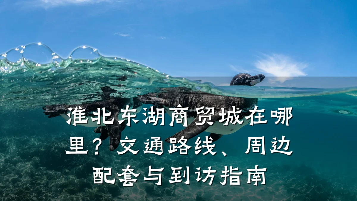 淮北东湖商贸城在哪里？交通路线、周边配套与到访指南