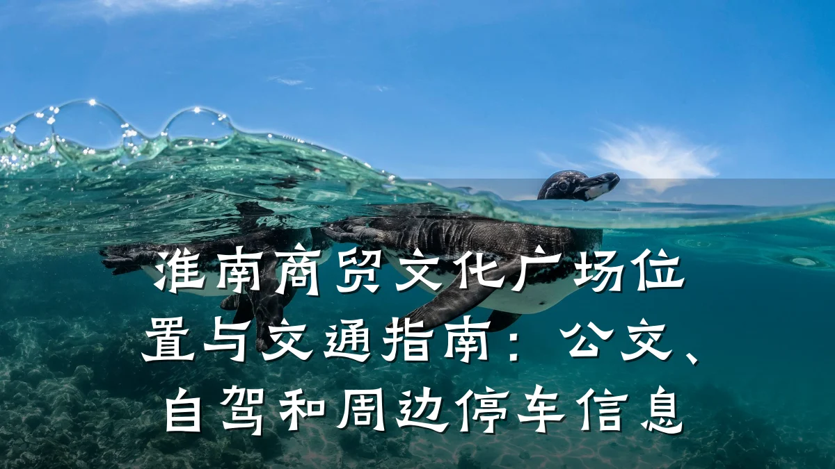 淮南商贸文化广场位置与交通指南:公交、自驾和周边停车信息
