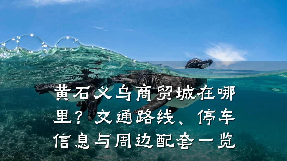 黄石义乌商贸城在哪里？交通路线、停车信息与周边配套一览