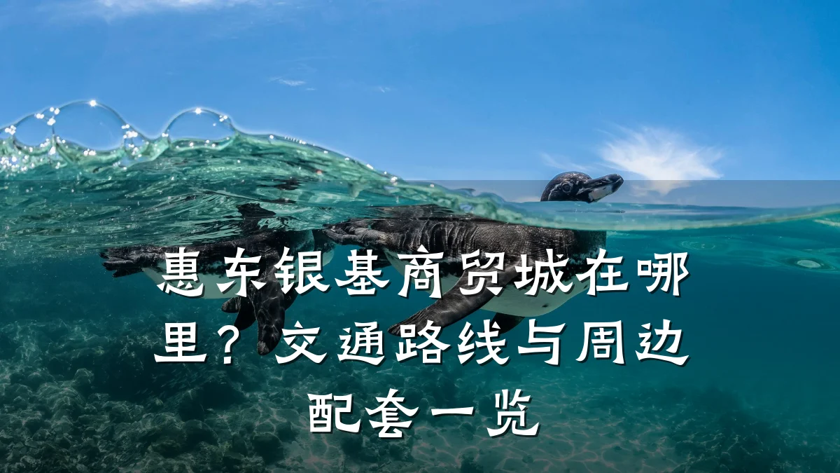 惠东银基商贸城在哪里?交通路线与周边配套一览