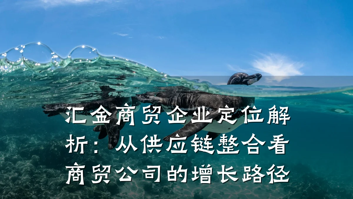 汇金商贸企业定位解析:从供应链整合看商贸公司的增长路径