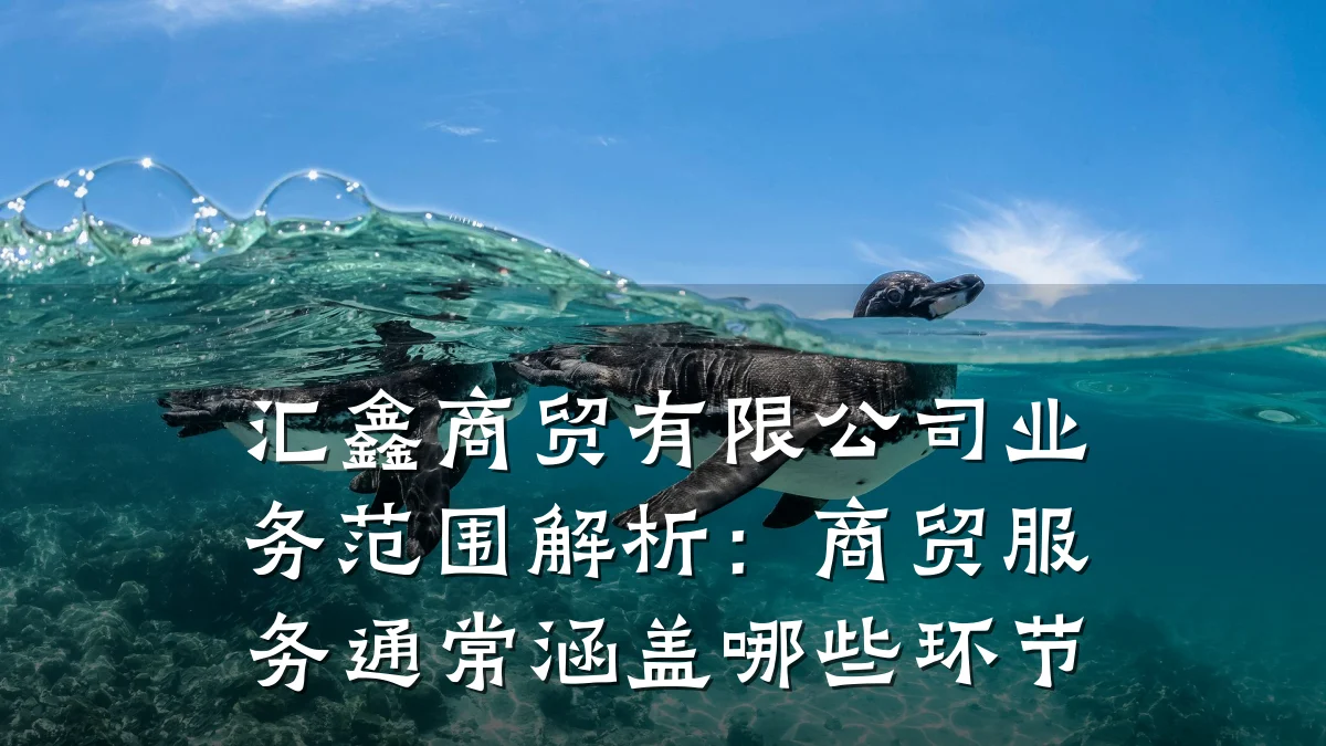 汇鑫商贸有限公司业务范围解析:商贸服务通常涵盖哪些环节