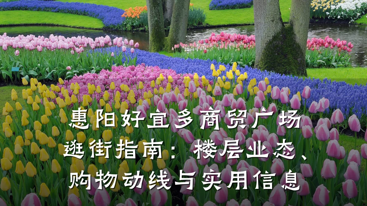 惠阳好宜多商贸广场逛街指南:楼层业态、购物动线与实用信息