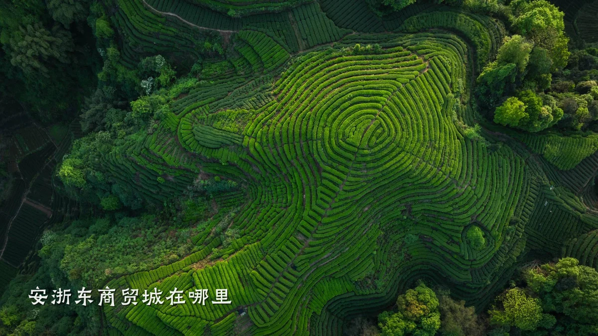 安浙东商贸城在哪里