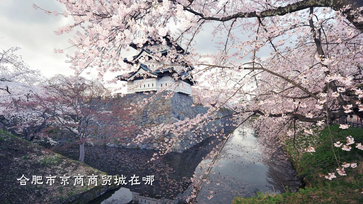 合肥市京商商贸城在哪