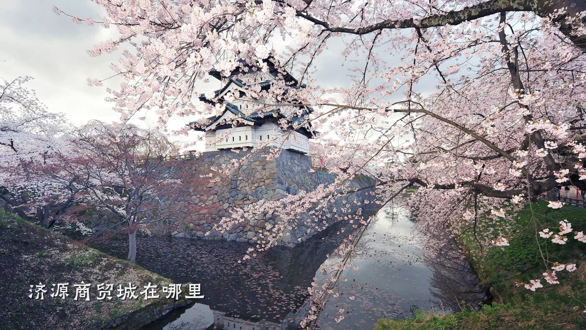 济源商贸城在哪里